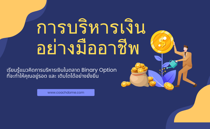 การบริหารเงินอย่างมืออาชีพ